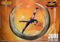 Street Fighter V Champion Edition Action Figure Juri Han